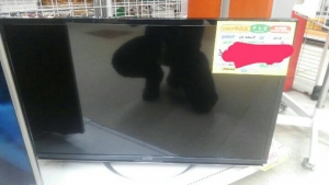 SHARPの32インチ液晶テレビ“LC-32W5”買い取りました！